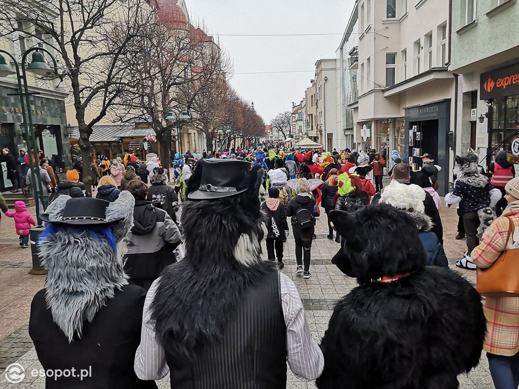 Fursuit Walk 2020 Sopot - Futrzaki opanowały kurort - Gdakon