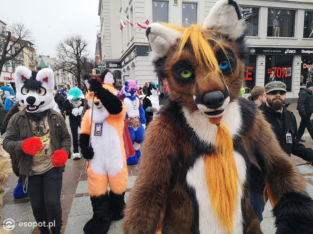 Fursuit Walk 2020 Sopot - Futrzaki opanowały kurort - Gdakon
