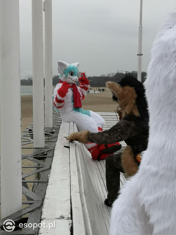 Fursuit Walk 2020 Sopot - Futrzaki opanowały kurort - Gdakon