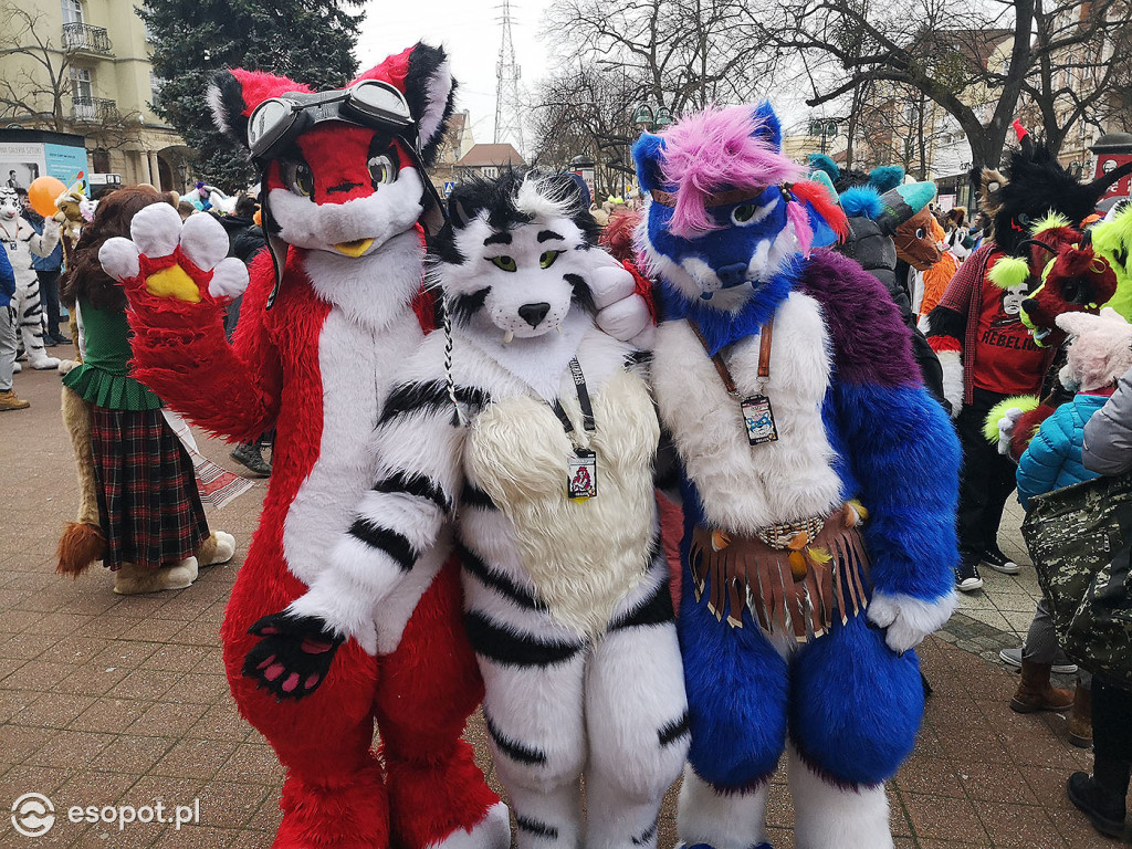 Fursuit Walk 2020 Sopot - Futrzaki opanowały kurort - Gdakon
