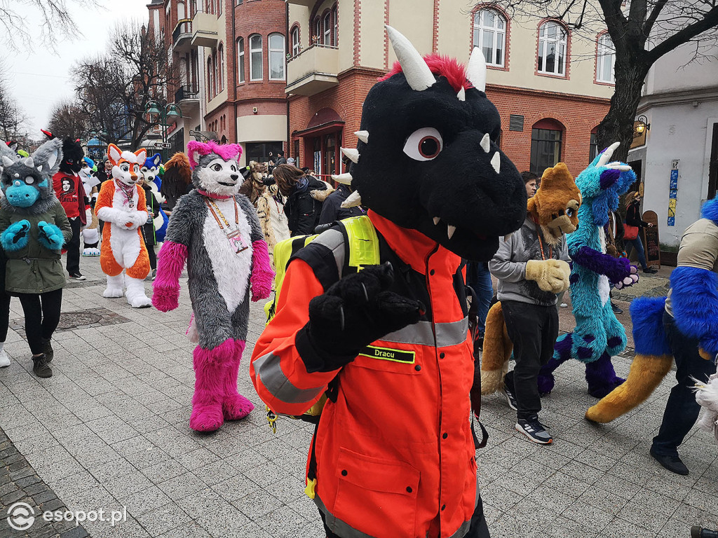 Fursuit Walk 2020 Sopot - Futrzaki opanowały kurort - Gdakon