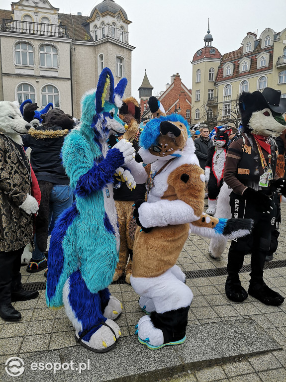 Fursuit Walk 2020 Sopot - Futrzaki opanowały kurort - Gdakon