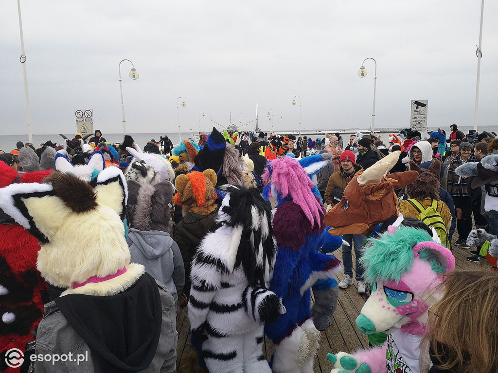 Fursuit Walk 2020 Sopot - Futrzaki opanowały kurort - Gdakon