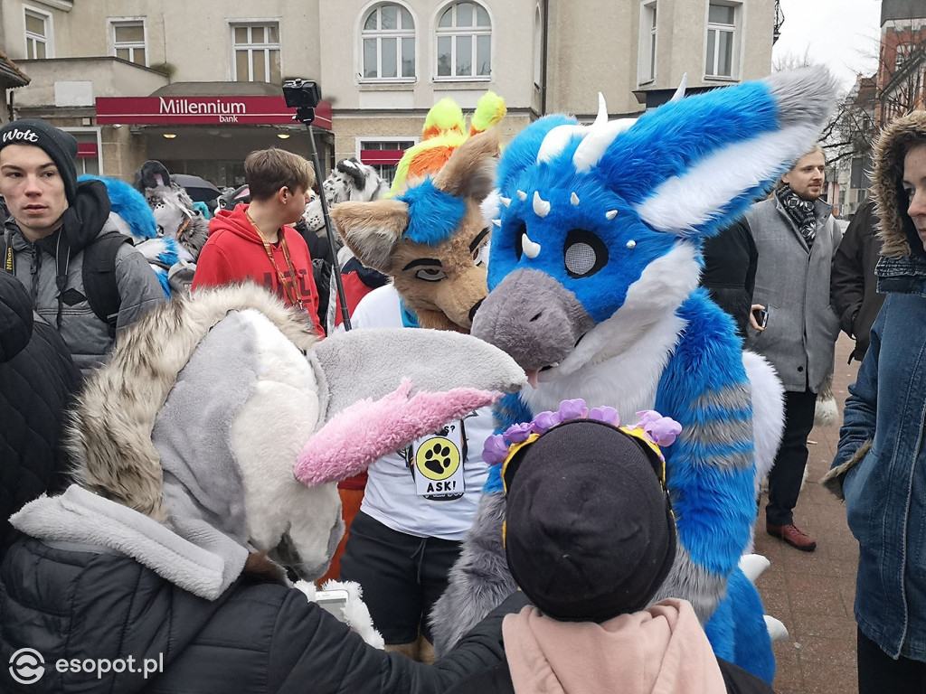 Fursuit Walk 2020 Sopot - Futrzaki opanowały kurort - Gdakon