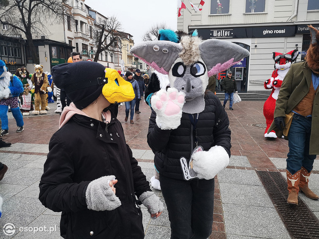 Fursuit Walk 2020 Sopot - Futrzaki opanowały kurort - Gdakon