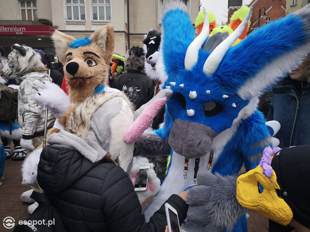 Fursuit Walk 2020 Sopot - Futrzaki opanowały kurort - Gdakon