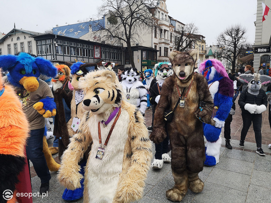 Fursuit Walk 2020 Sopot - Futrzaki opanowały kurort - Gdakon