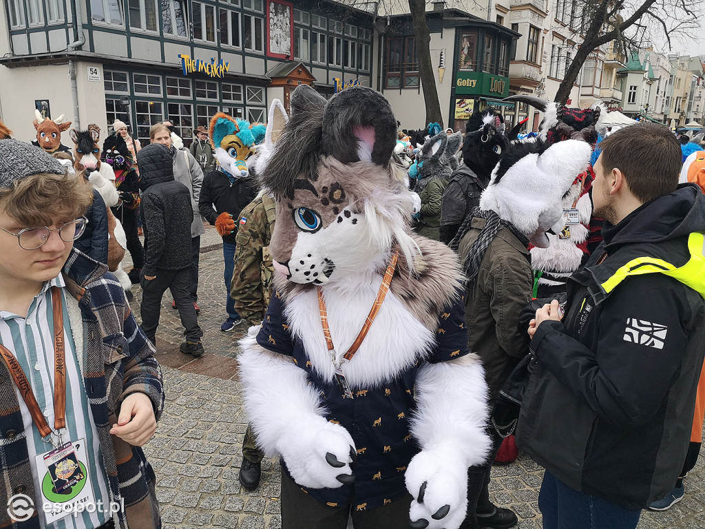 Fursuit Walk 2020 Sopot - Futrzaki opanowały kurort - Gdakon
