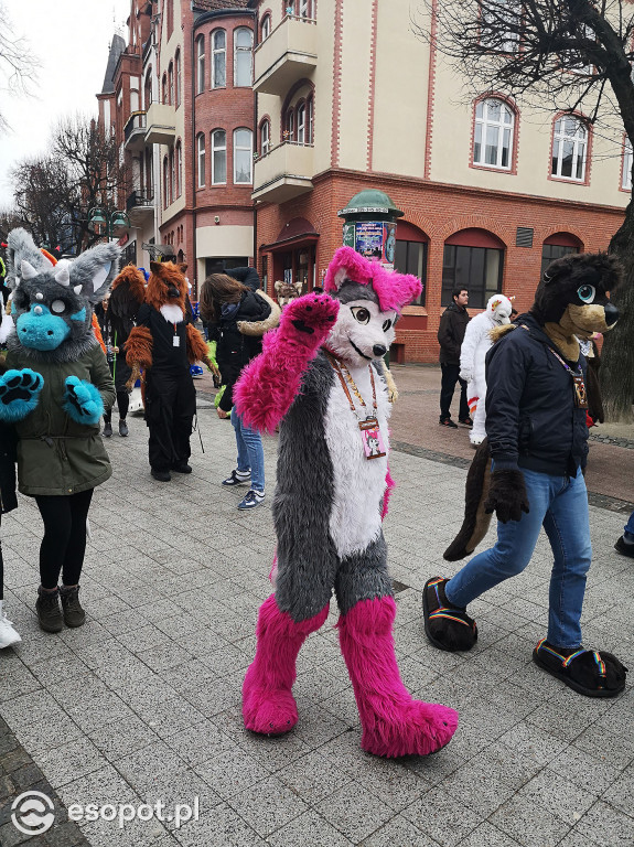 Fursuit Walk 2020 Sopot - Futrzaki opanowały kurort - Gdakon