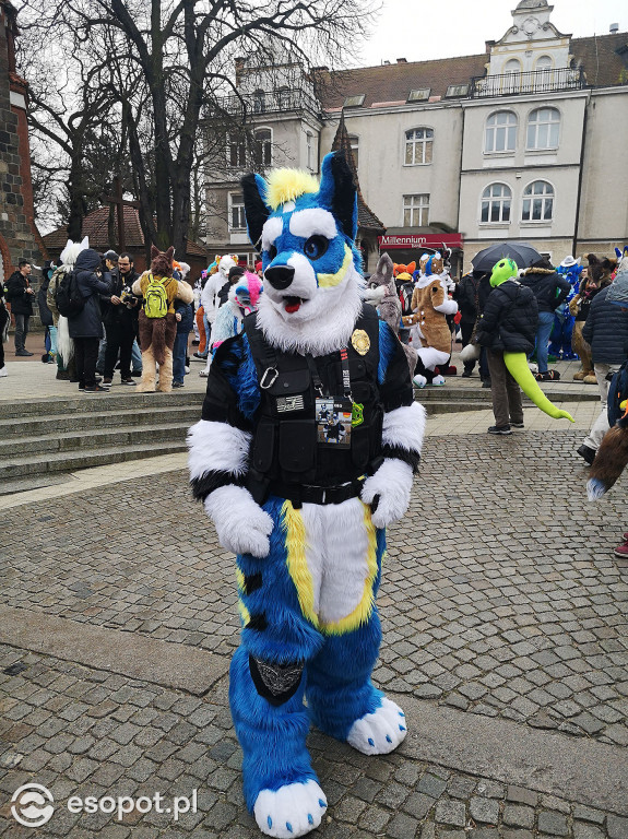 Fursuit Walk 2020 Sopot - Futrzaki opanowały kurort - Gdakon