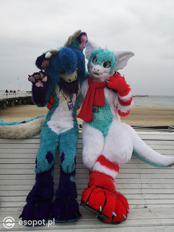 Fursuit Walk 2020 Sopot - Futrzaki opanowały kurort - Gdakon