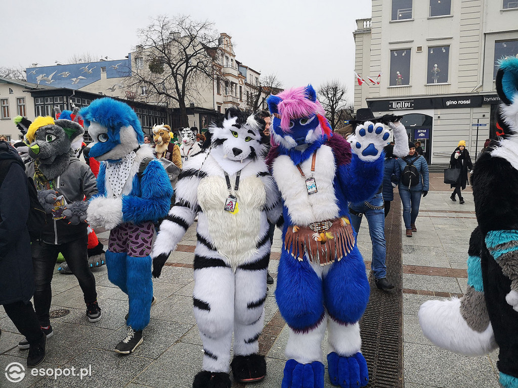 Fursuit Walk 2020 Sopot - Futrzaki opanowały kurort - Gdakon