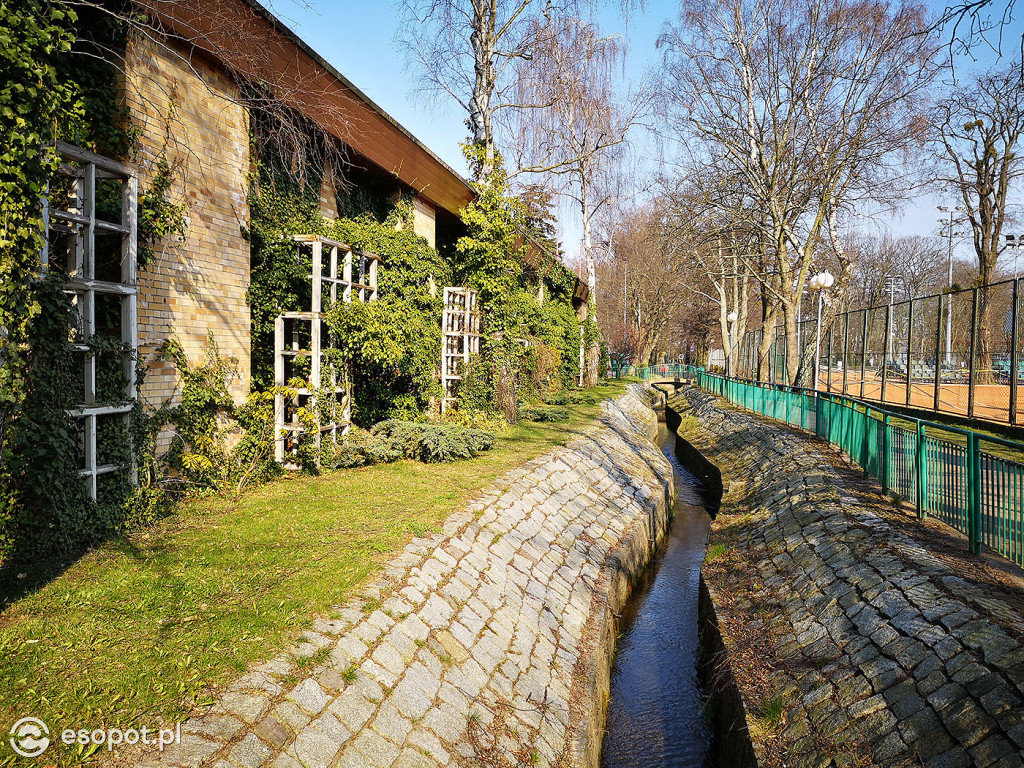 Sopot w czasach zarazy! Wiosenny spacer 28.03.2020 [FOTO]