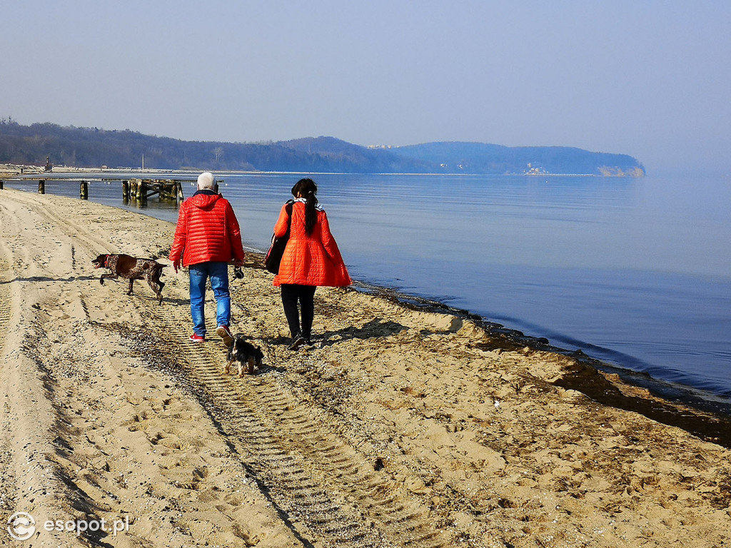 Sopot w czasach zarazy! Wiosenny spacer 28.03.2020 [FOTO]