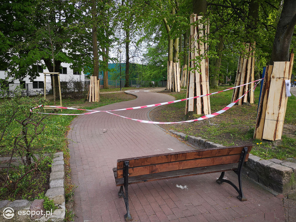Przebudowa drogi rowerowej w ciągu ul. Armii Krajowej 05.2020