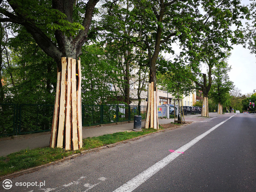 Przebudowa drogi rowerowej w ciągu ul. Armii Krajowej 05.2020