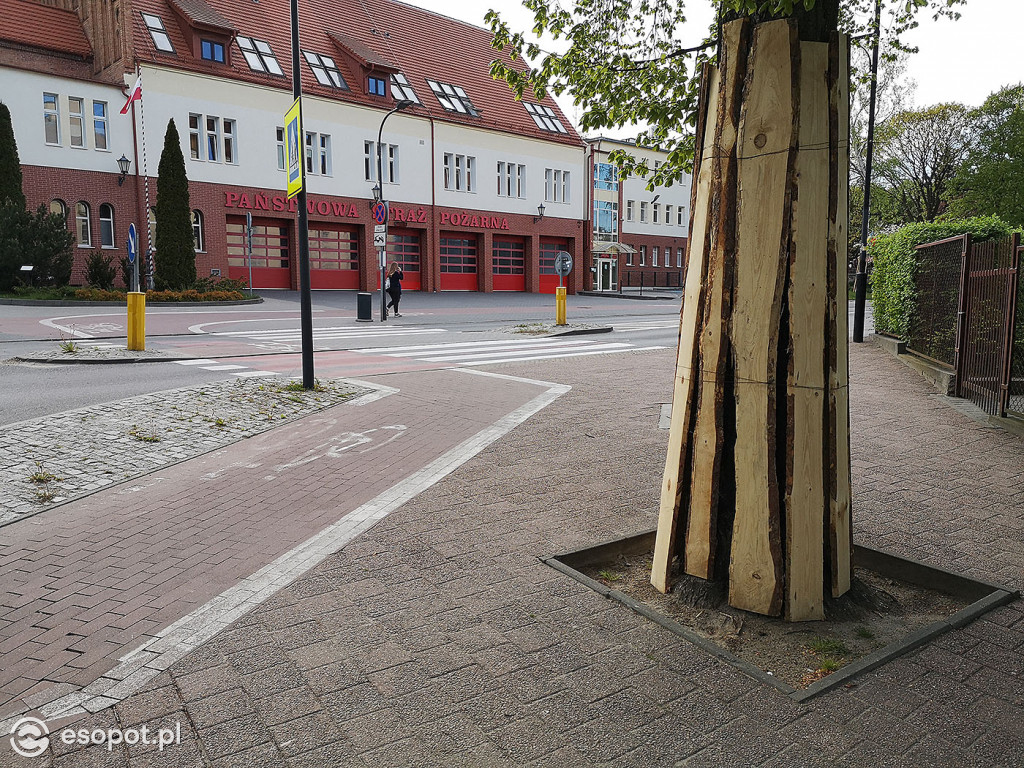 Przebudowa drogi rowerowej w ciągu ul. Armii Krajowej 05.2020