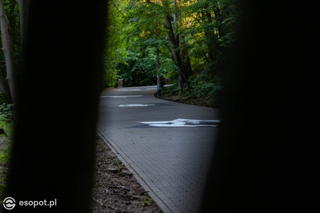 Murale Stars'n'Roll w Sopocie [FOTO]