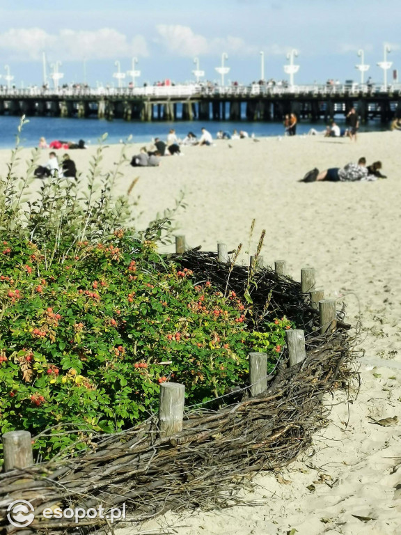 Piękny Sopot w ostatnią sobotę wakacji [FOTO]
