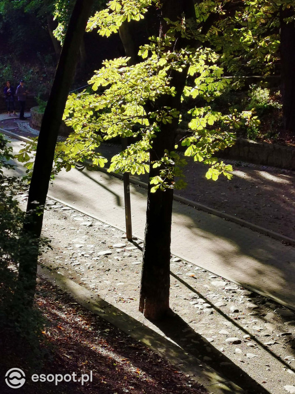 Piękny Sopot w ostatnią sobotę wakacji [FOTO]