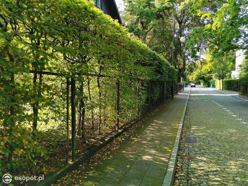 Piękny Sopot w ostatnią sobotę wakacji [FOTO]
