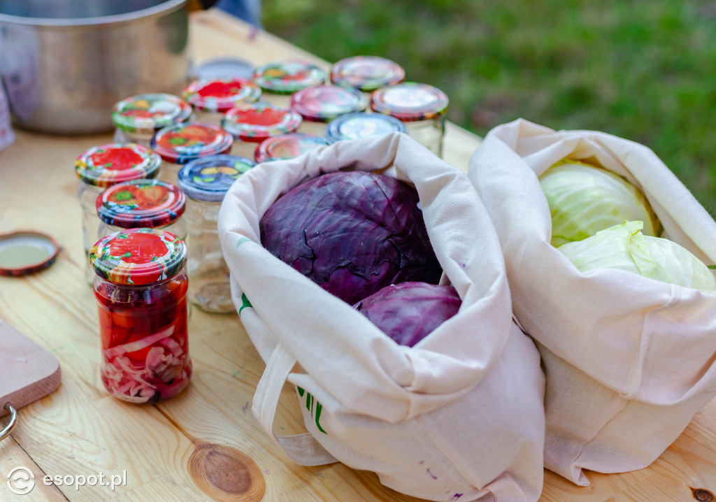 Sopockie Pikniki Sąsiedzkie: atrakcje dla dużych i małych [FOTO]