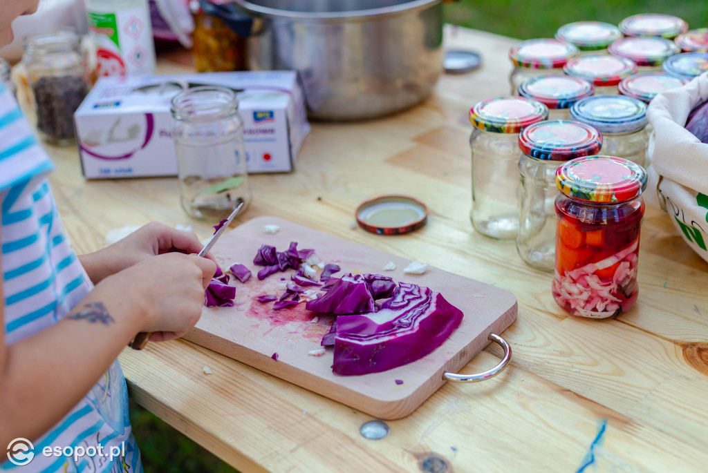 Sopockie Pikniki Sąsiedzkie: atrakcje dla dużych i małych [FOTO]