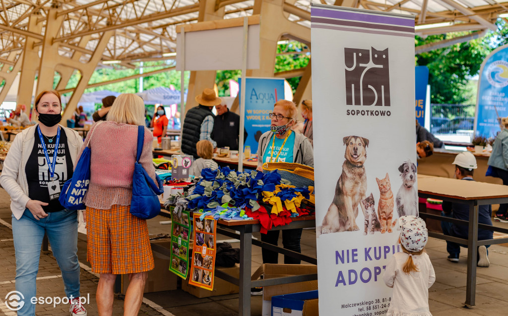 Ekopiknik na Sopockim Rynku [FOTO]