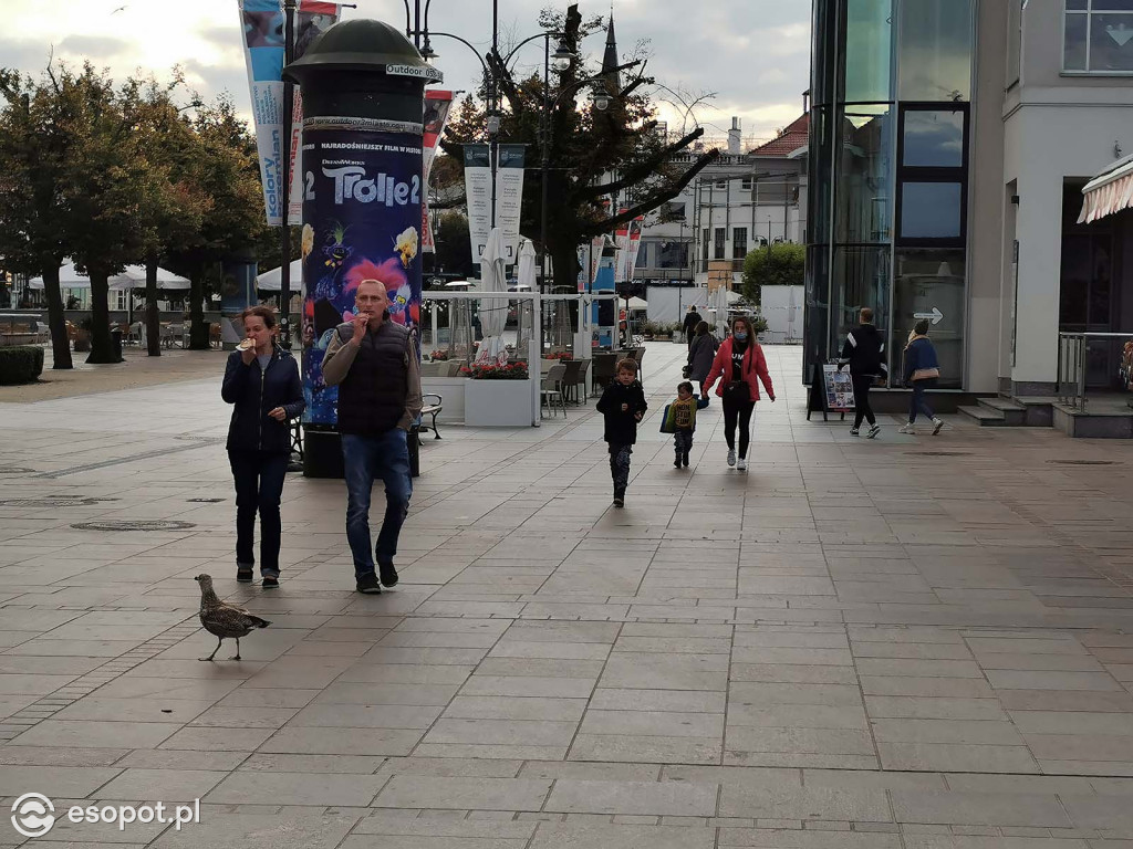Czerwona środa w Sopocie - pustki w kurorcie
