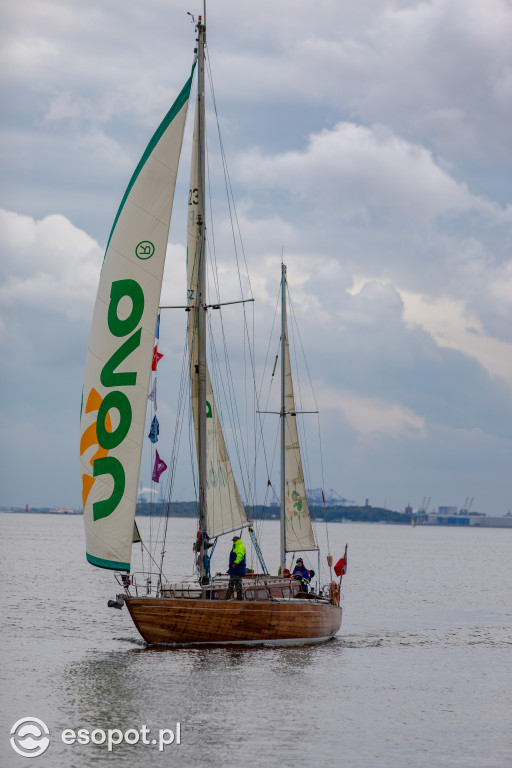 Próchno i Rdza przy sopockim molo: Zlot jachtów z duszą [FOTO]