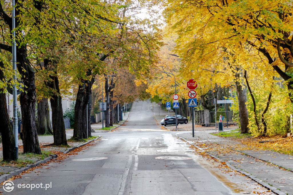 Sopot w barwach jesieni: październikowe uroki miasta [FOTO]