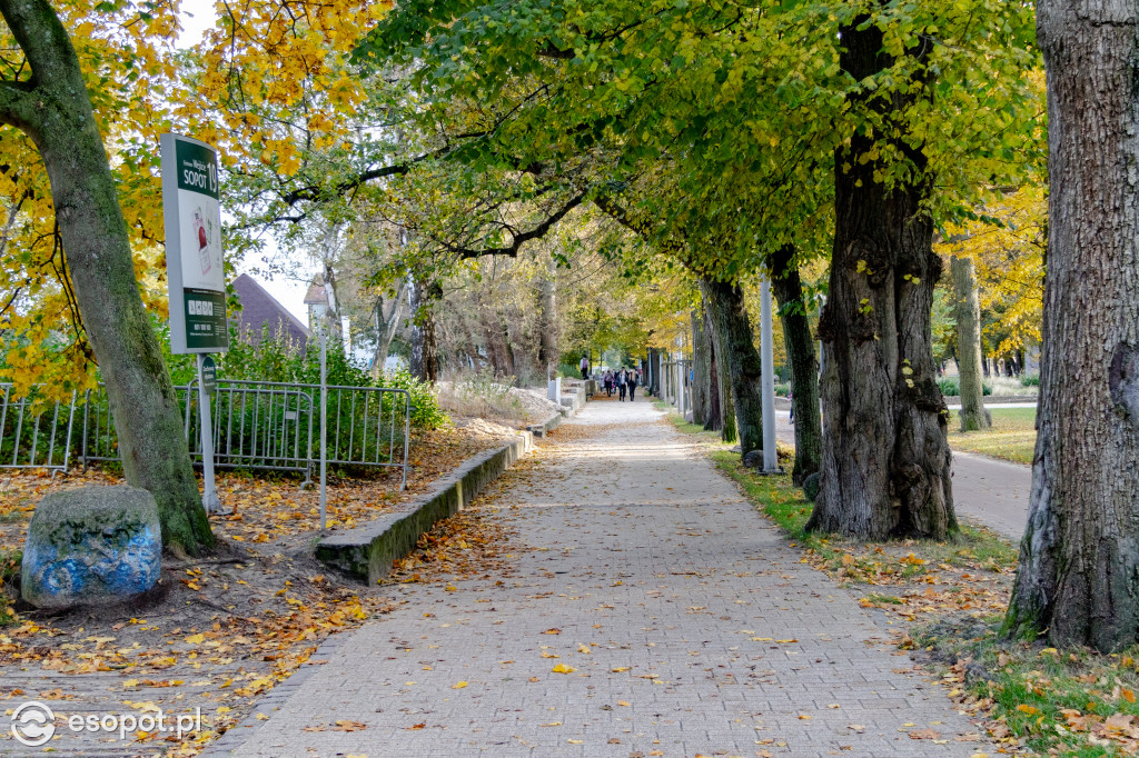 Sopot w barwach jesieni: październikowe uroki miasta [FOTO]