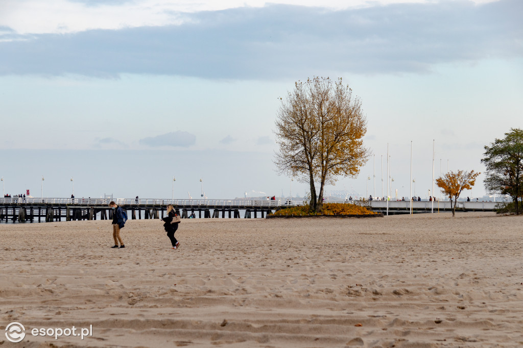 Sopot w barwach jesieni: październikowe uroki miasta [FOTO]