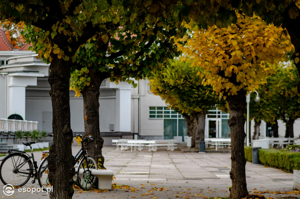 Sopot w barwach jesieni: październikowe uroki miasta [FOTO]