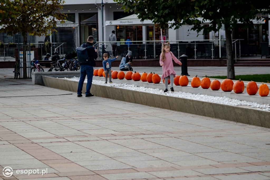 Sopot w barwach jesieni: październikowe uroki miasta [FOTO]