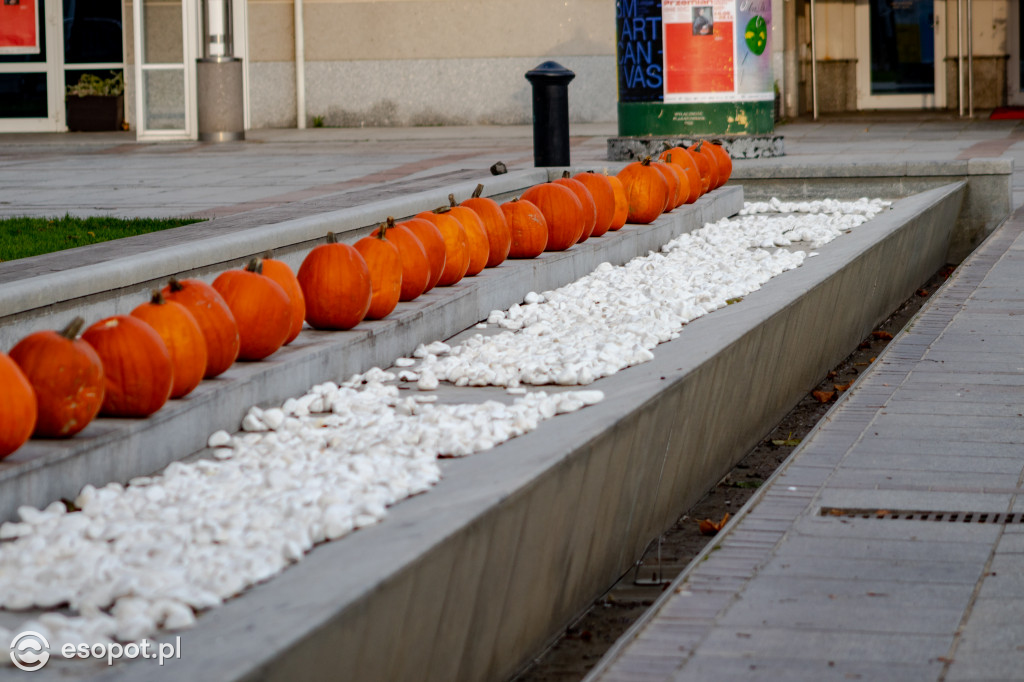 Sopot w barwach jesieni: październikowe uroki miasta [FOTO]