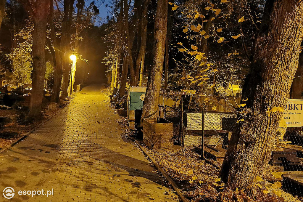Sopot: Puste cmentarze - Dzień  Wszystkich Świętych jakiego jeszcze nie było [FOTO]