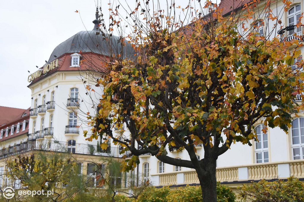 Sopot w czasie pandemii - niedzielny spacer po kurorcie 08.11.2020