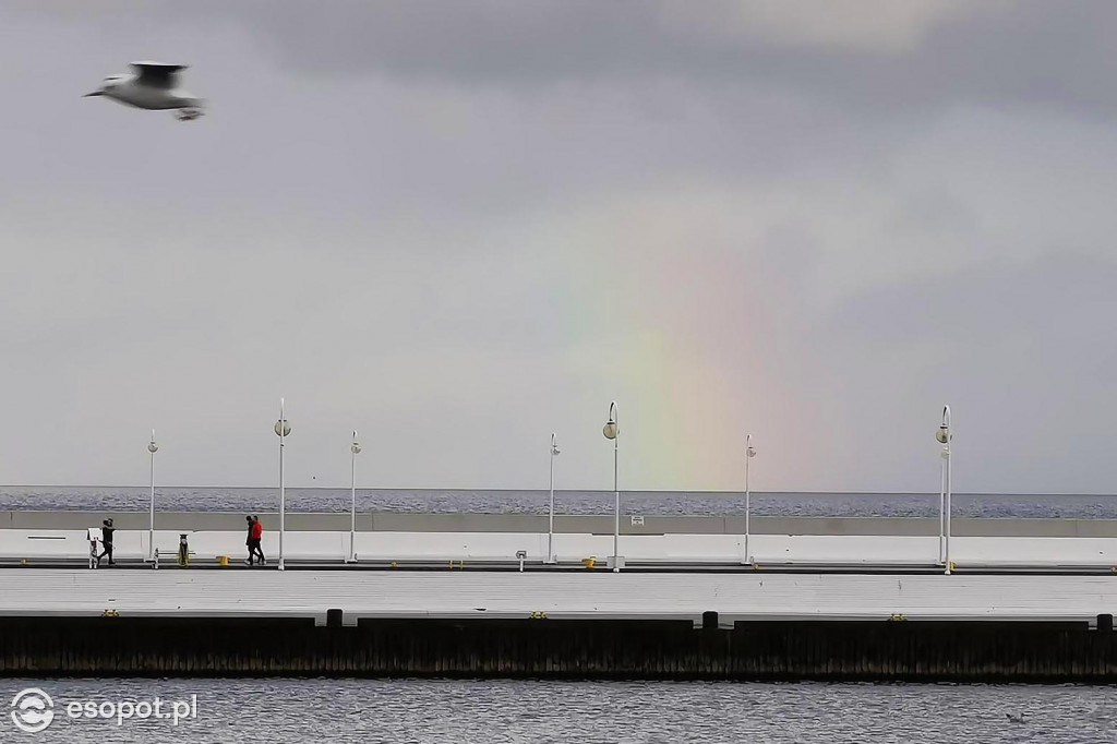 Sopot: Pogoda nie odstraszyła spacerowiczów w kolejny listopadowy weekend [FOTO]