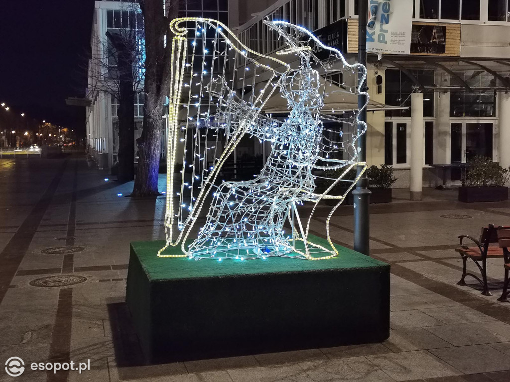 Sopot: Zabłysła choinka i kolorowe dekoracje świąteczne [FOTO]