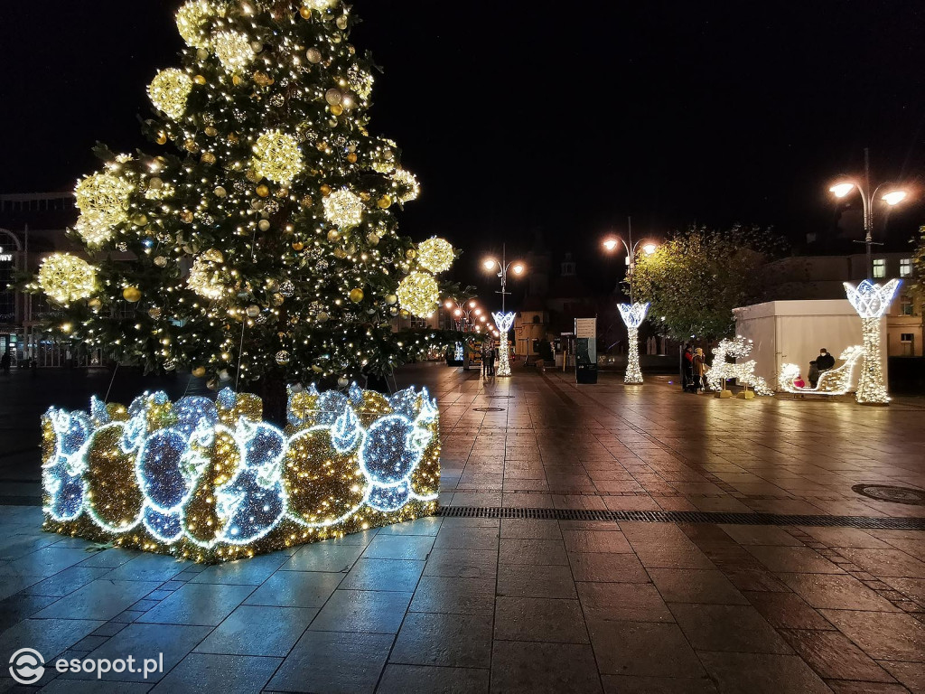 Sopot: Zabłysła choinka i kolorowe dekoracje świąteczne [FOTO]