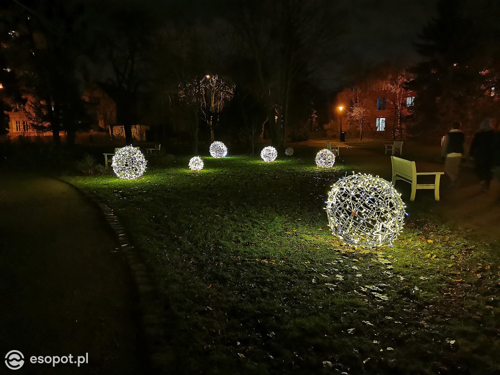 Sopot: Zabłysła choinka i kolorowe dekoracje świąteczne [FOTO]