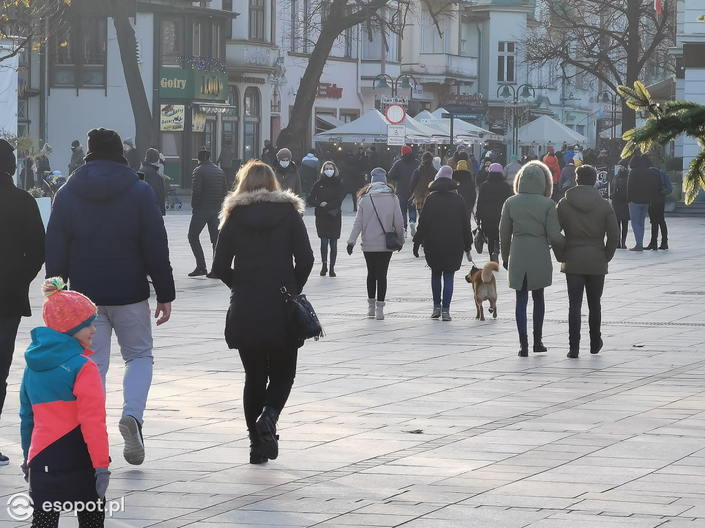 Sopot: Wiele osób wybrało spacer zamiast zakupów w ostatni przedświąteczny weekend [FOTO]