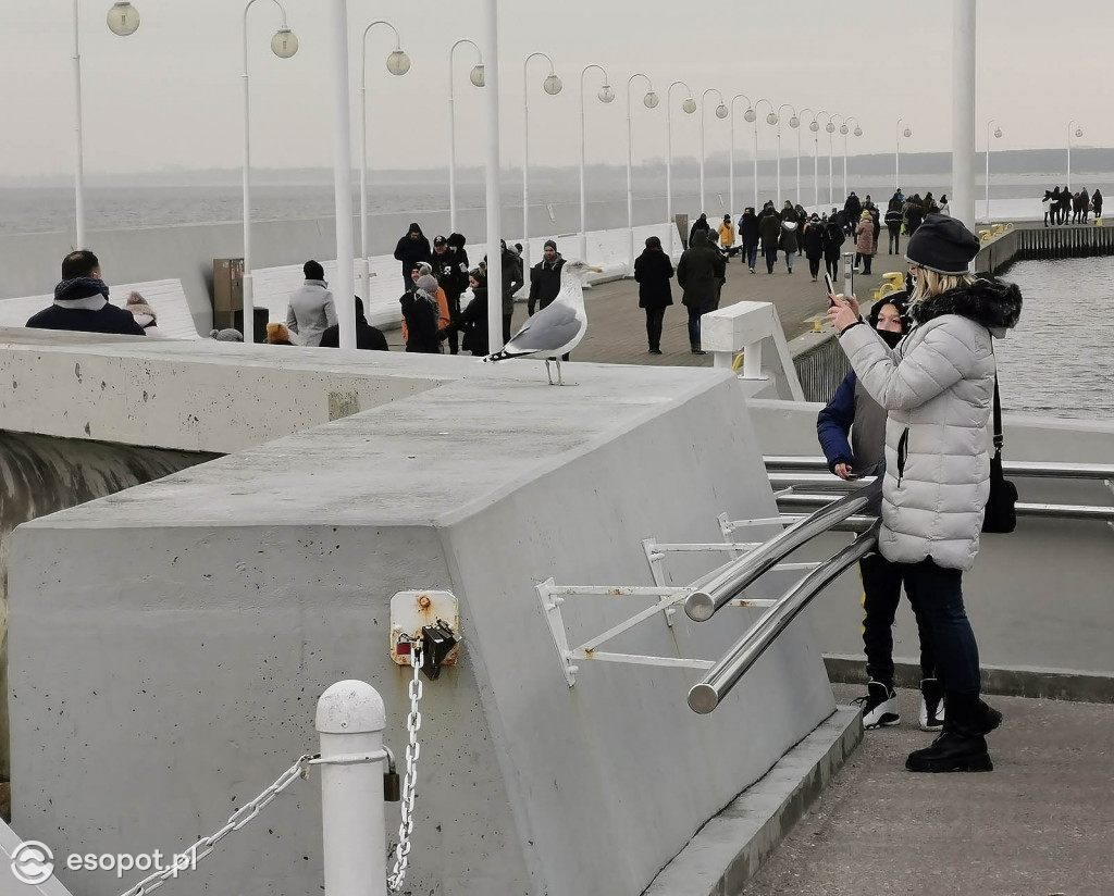Sopot: Tłumy jak w sezonie w pierwszą sobotę Nowego Roku 01.2021 [FOTO]