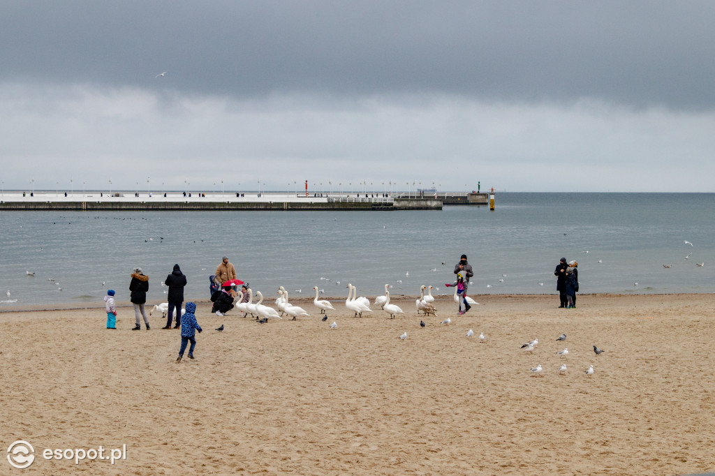 Sopot: deszcz nie odstraszył spacerowiczów w pierwszy weekend ferii [FOTO]