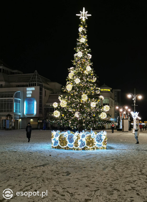 Piękny zimowy Sopot - śnieg przyprószył kurort 01.2020 [FOTO]