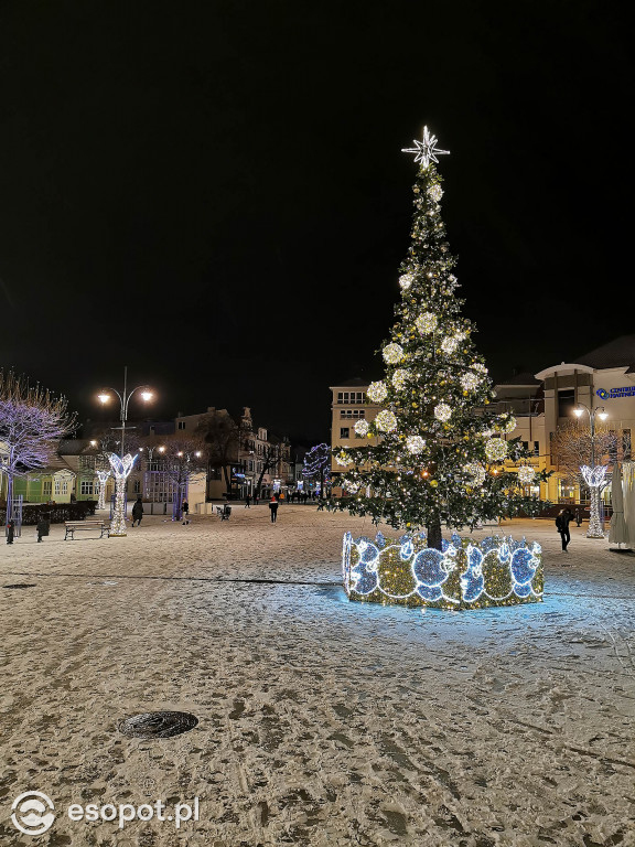 Piękny zimowy Sopot - śnieg przyprószył kurort 01.2020 [FOTO]