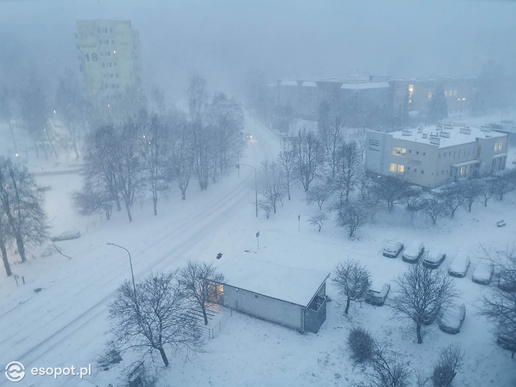 Pierwszy taki zimowy dzień w Sopocie! Miasto w białej odsłonie 01.2020 [FOTO]