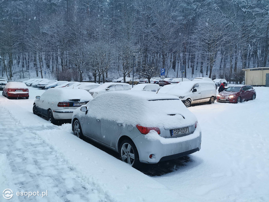 Pierwszy taki zimowy dzień w Sopocie! Miasto w białej odsłonie 01.2020 [FOTO]