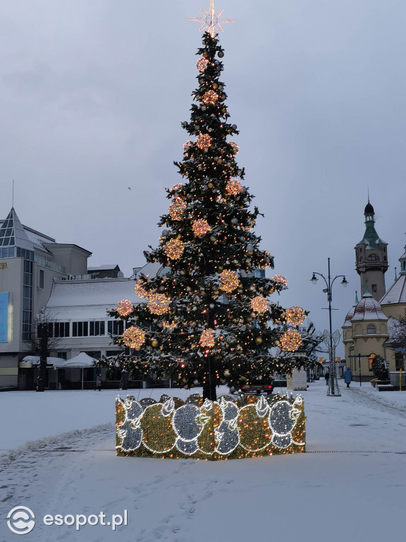 Pierwszy taki zimowy dzień w Sopocie! Miasto w białej odsłonie 01.2020 [FOTO]